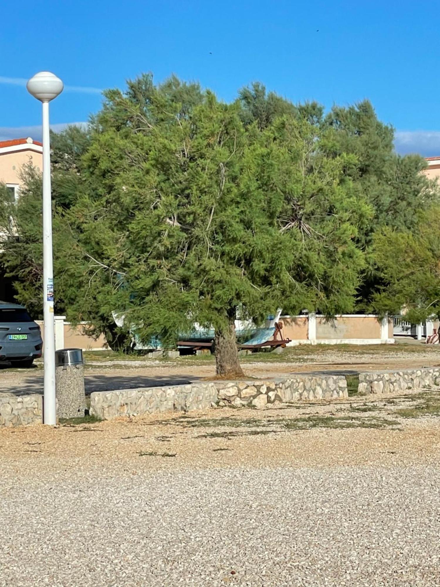 Boja